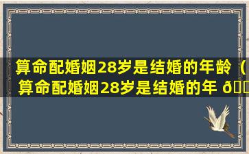 算命配婚姻28岁是结婚的年龄（算命配婚姻28岁是结婚的年 🐴 龄是多少）